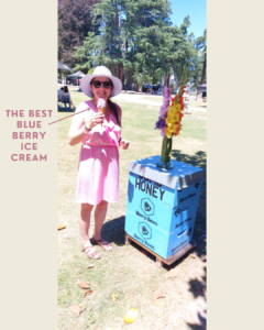 expat life in new zealand - farmers market